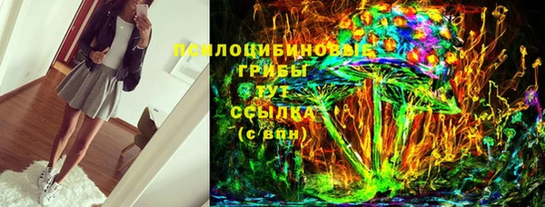 дмт Нягань