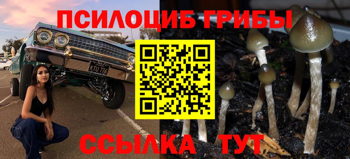 Галлюциногенные грибы Magic Shrooms  Красноперекопск 