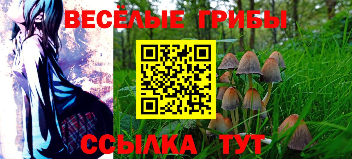Псилоцибиновые грибы Psilocybine cubensis Красноперекопск