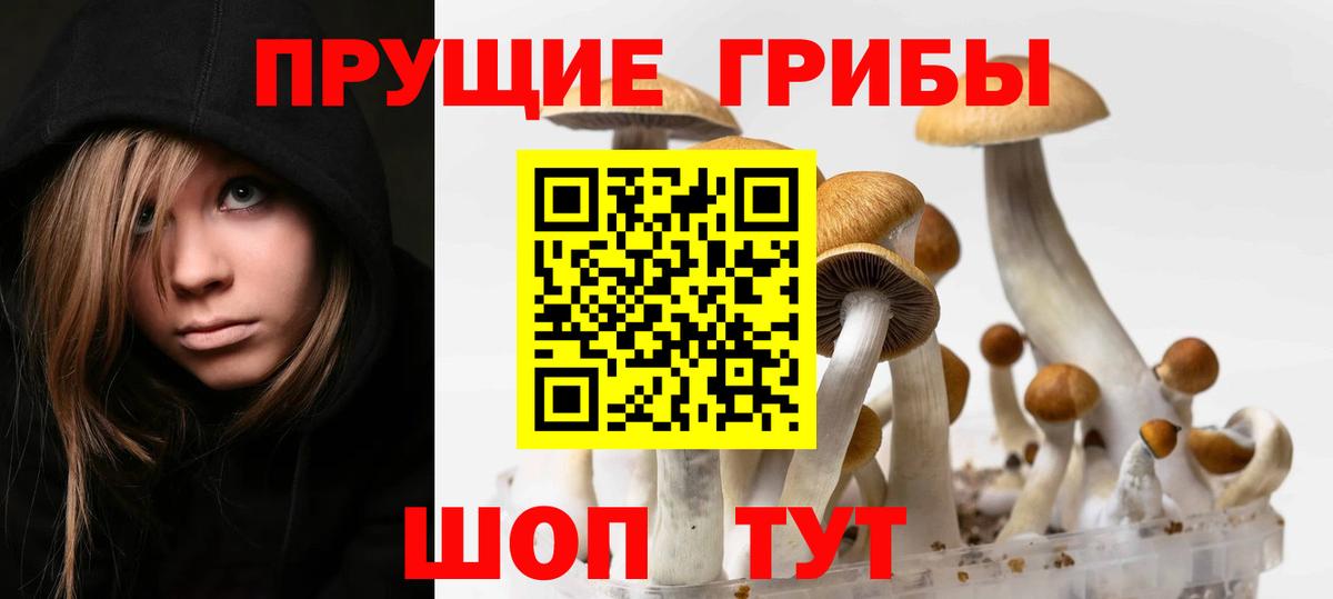 Красноперекопск  Галлюциногенные грибы мицелий  Псилоцибиновые грибы Magic Shrooms  наркошоп  Вход с VPN 